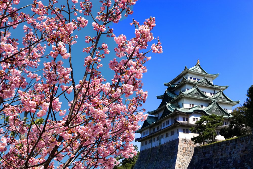 Nagoya castle in Nagoya city.,Japan