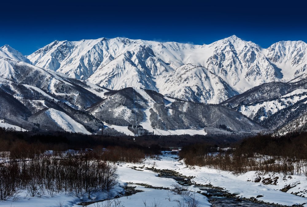 Snow Fields