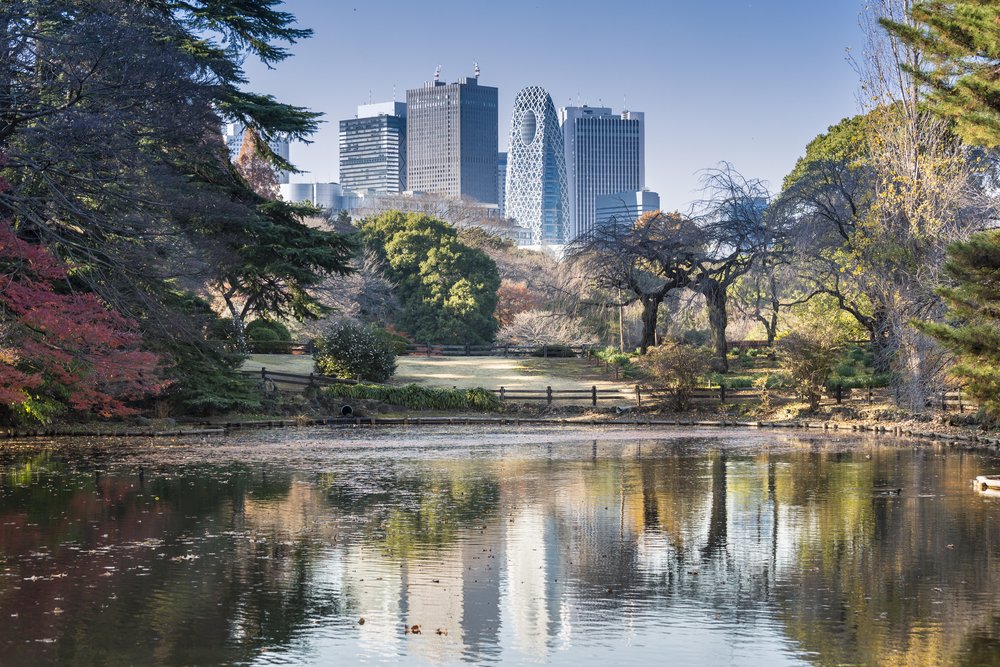 Reflection of Tokyo city and park at Shinjuku