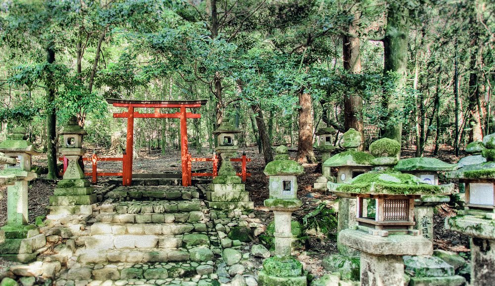 Vintage style image of stone lanterns and a tore gate at the Kasuga Taisha Shrine in Nara, Japan. Kasuga Shrine is registered as a UNESCO World Heritage Site.