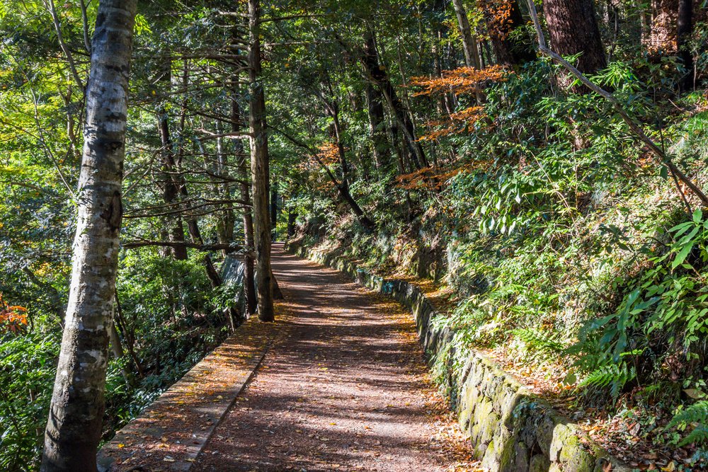 A hiking trail in Mt. Takao, Tokyo, Japan