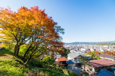 Big red maple tree with Takayama city in Japan.