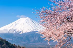 14 Day Pass - Japan’s Best Of The West Cherry Blossoms Itinerary ...