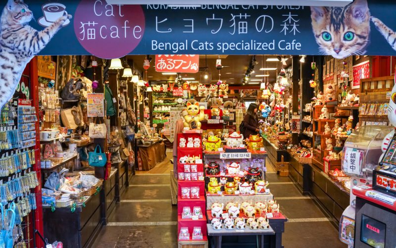 Bengal Cats cafe in Bikan district of Kurashiki city, Japan. Boris-B Shutterstock.com