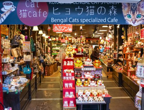 19 Must-Visit Animal Cafes in Tokyo for an Adorable Adventure