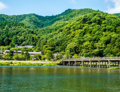 Sacred Sites and Serene Waterways: Exploring Kyoto from the Water